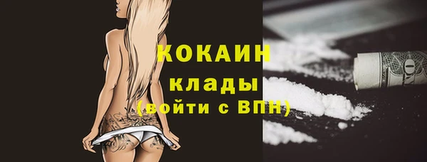 кокс Богородицк
