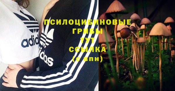 марки lsd Белокуриха
