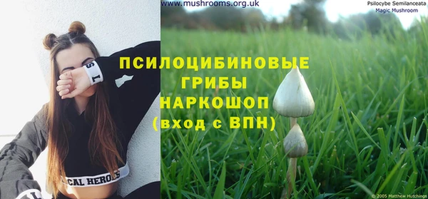 кристаллы Богданович