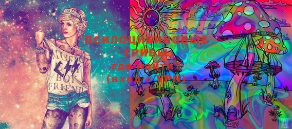 марки lsd Белокуриха